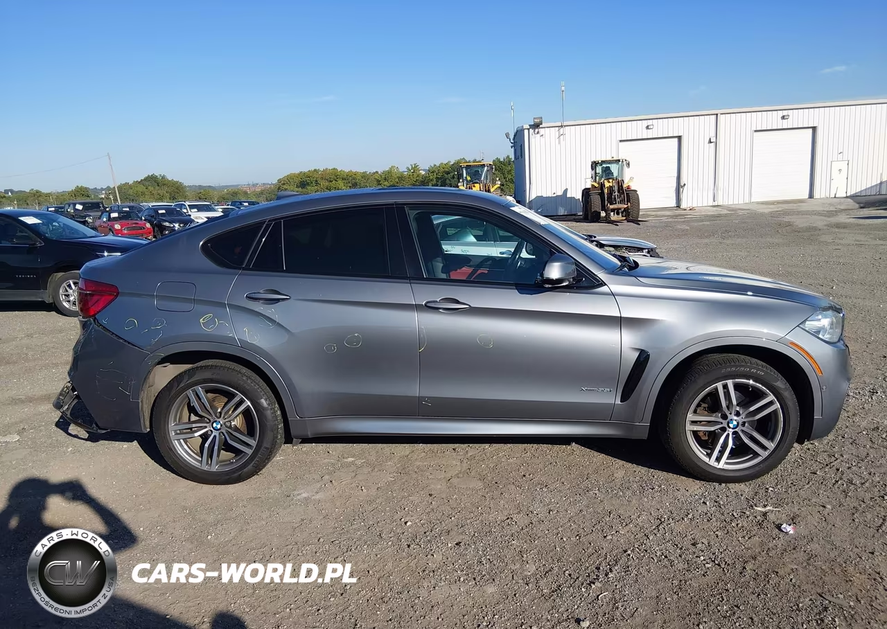 2016 BMW X6 xDrive35I VIN:5UXKU2C57G0N81697 - 13