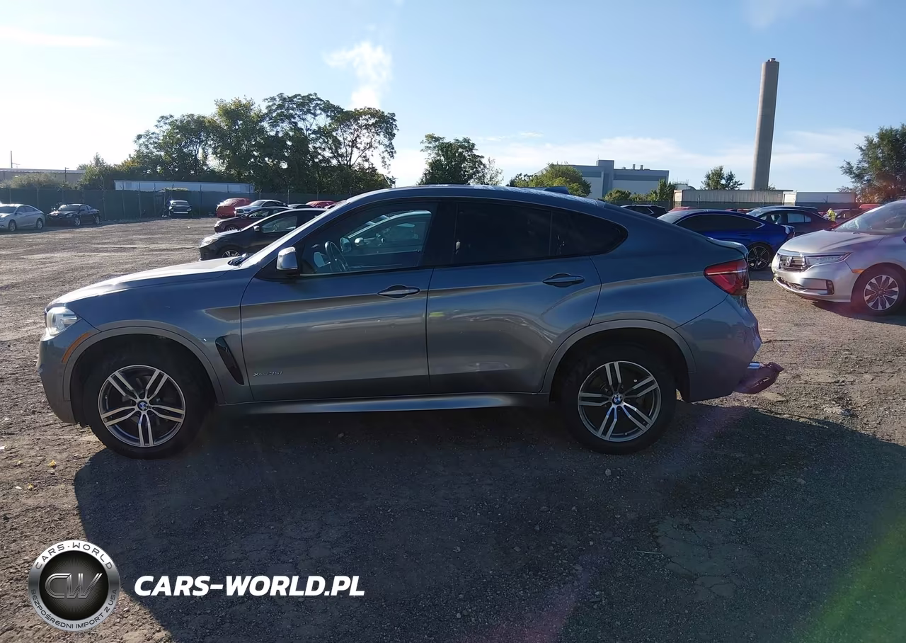 2016 BMW X6 xDrive35I VIN:5UXKU2C57G0N81697 - 14
