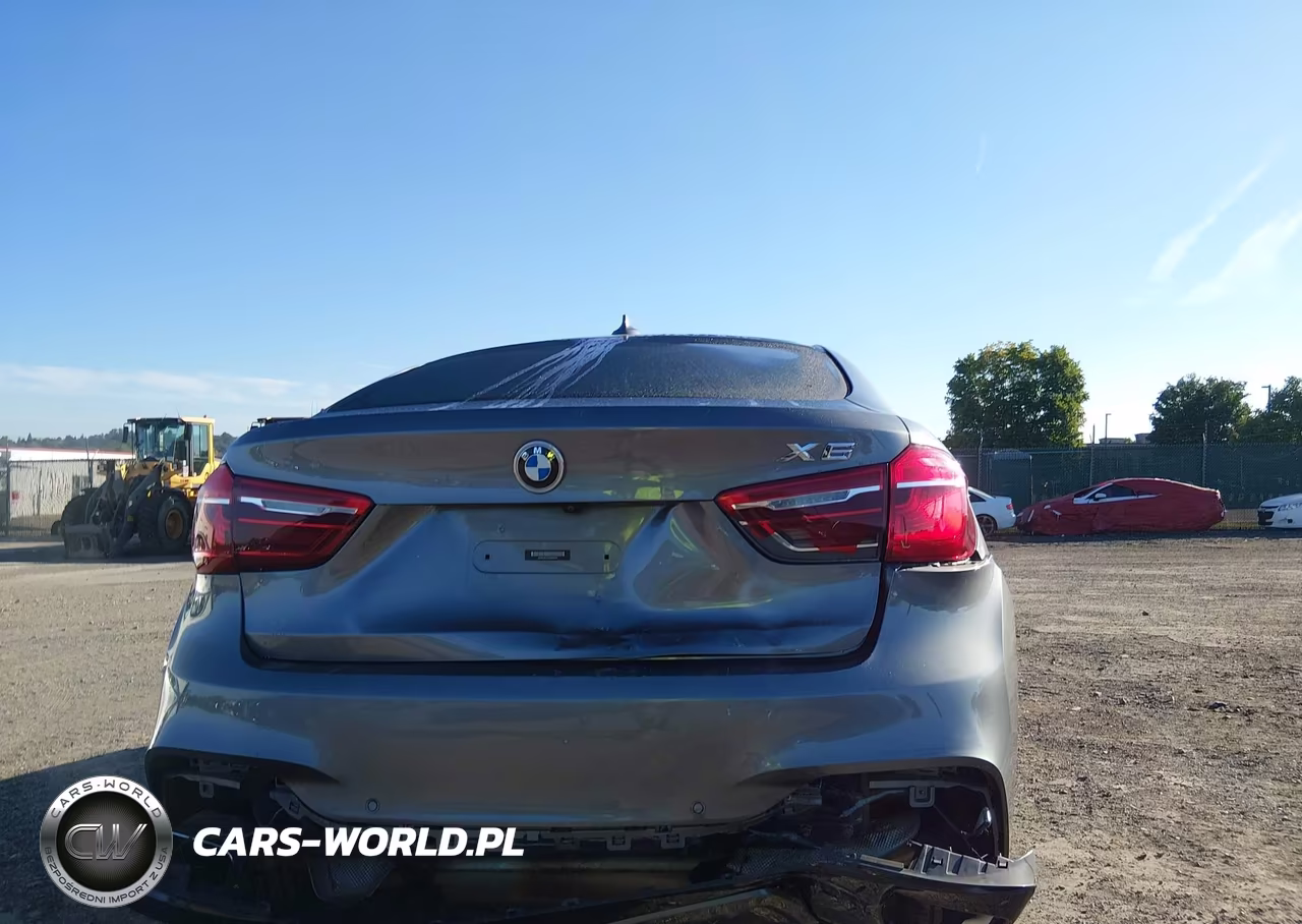 2016 BMW X6 xDrive35I VIN:5UXKU2C57G0N81697 - 17