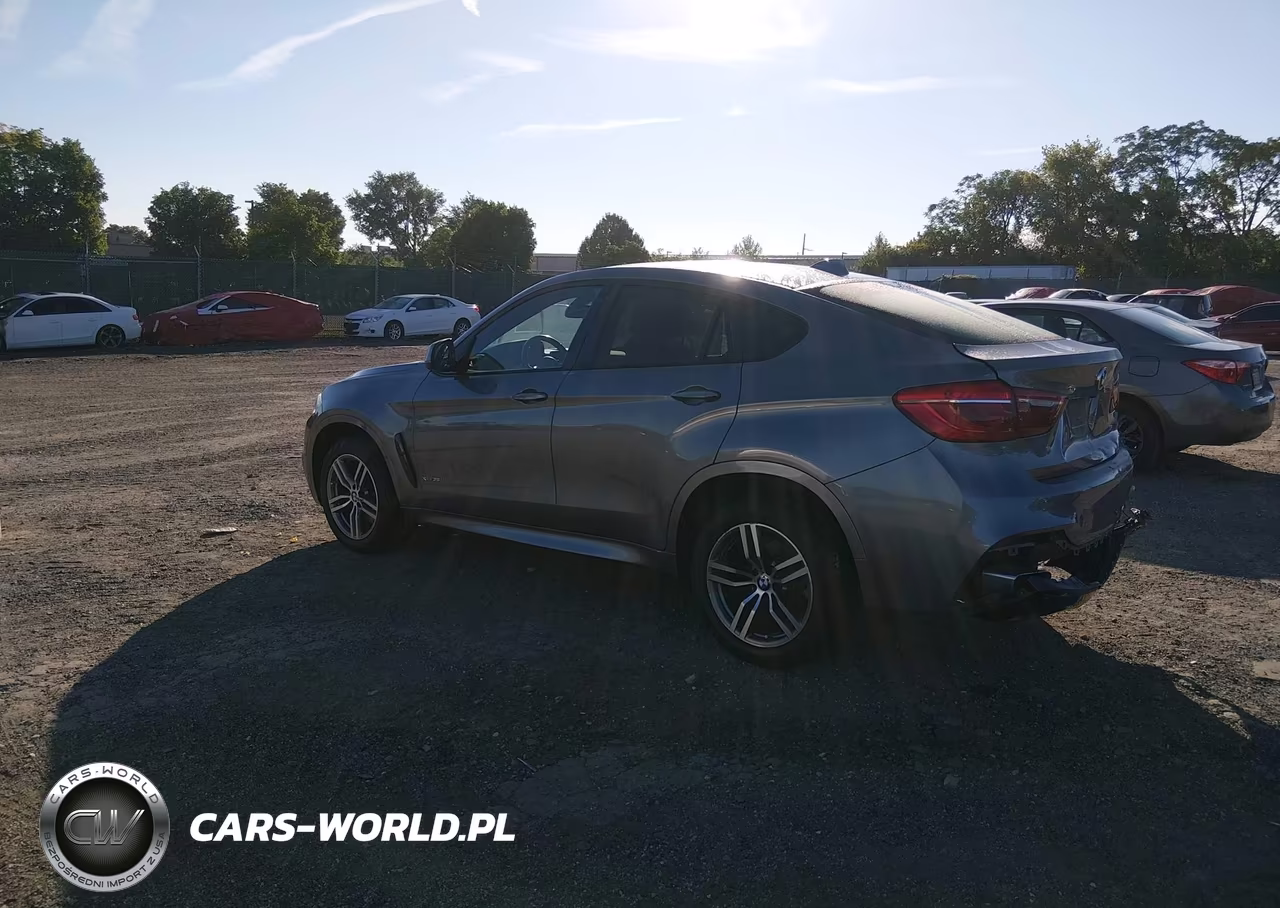 2016 BMW X6 xDrive35I VIN:5UXKU2C57G0N81697 - 3