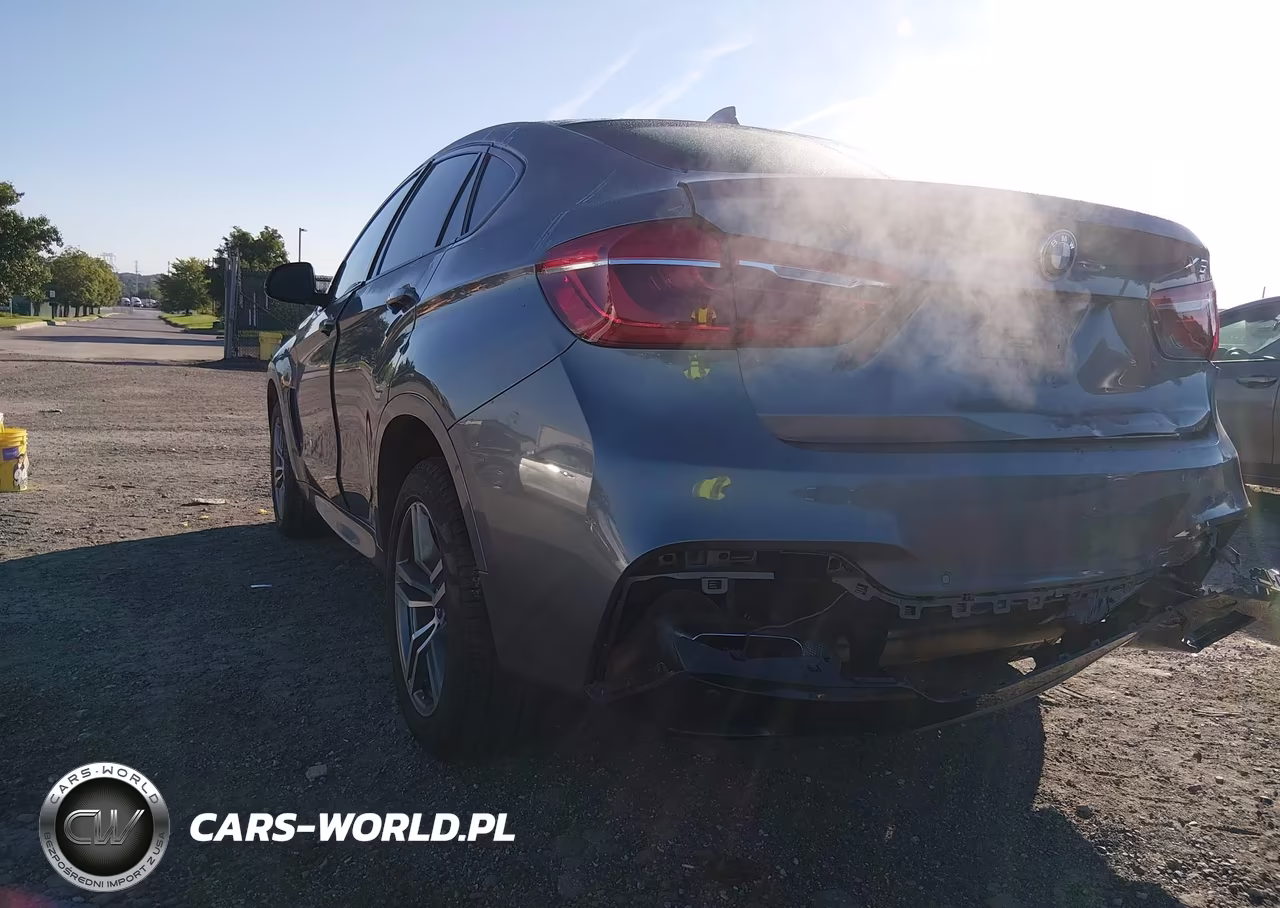2016 BMW X6 xDrive35I VIN:5UXKU2C57G0N81697 - 6