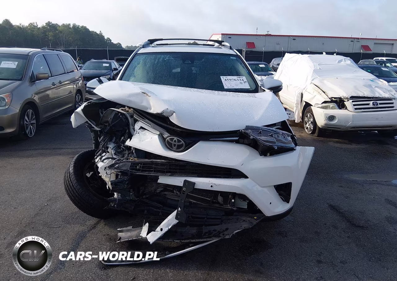 2016 Toyota Rav4 Xle VIN:2T3WFREV2GW296811 - 12