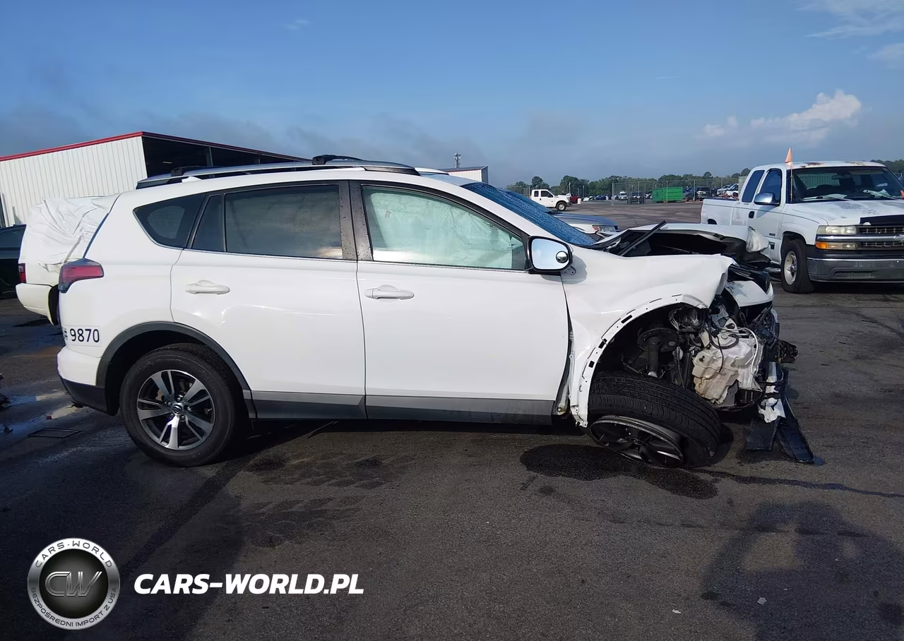 2016 Toyota Rav4 Xle VIN:2T3WFREV2GW296811 - 13