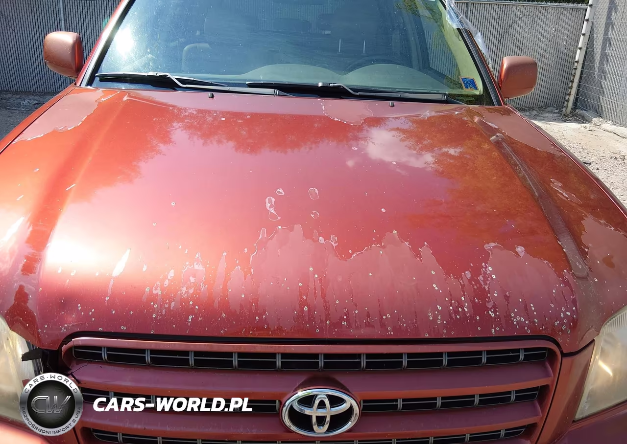 2001 Toyota Highlander V6 VIN:JTEHF21AX10036652 - 6