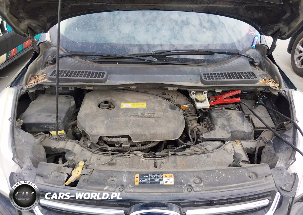 2016 Ford Escape Titanium VIN:1FMCU0JXXGUB97447 - 10