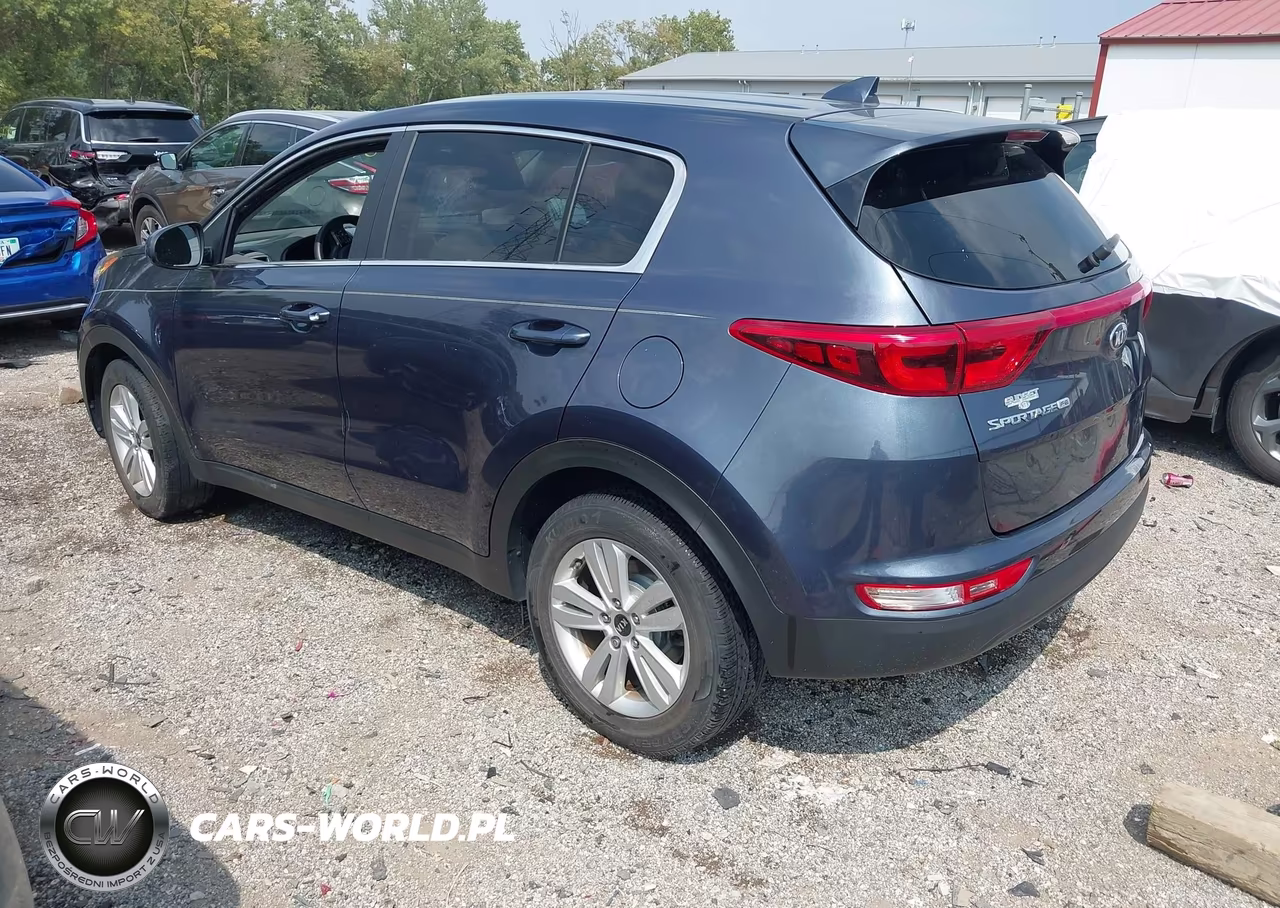 2019 Kia Sportage Lx VIN:KNDPM3ACXK7540737 - 3