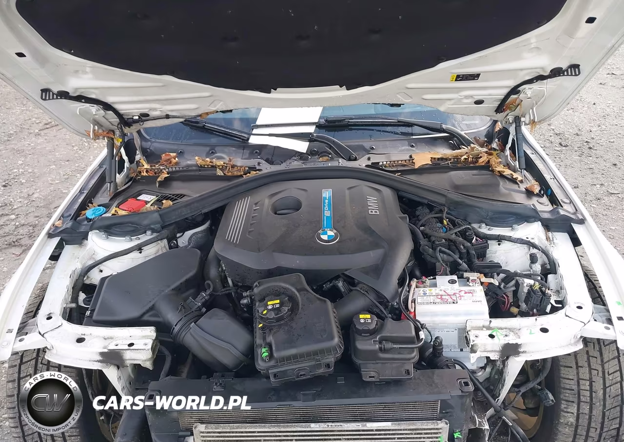 2018 BMW 330E Iperformance VIN:WBA8E1C57JA178126 - 10