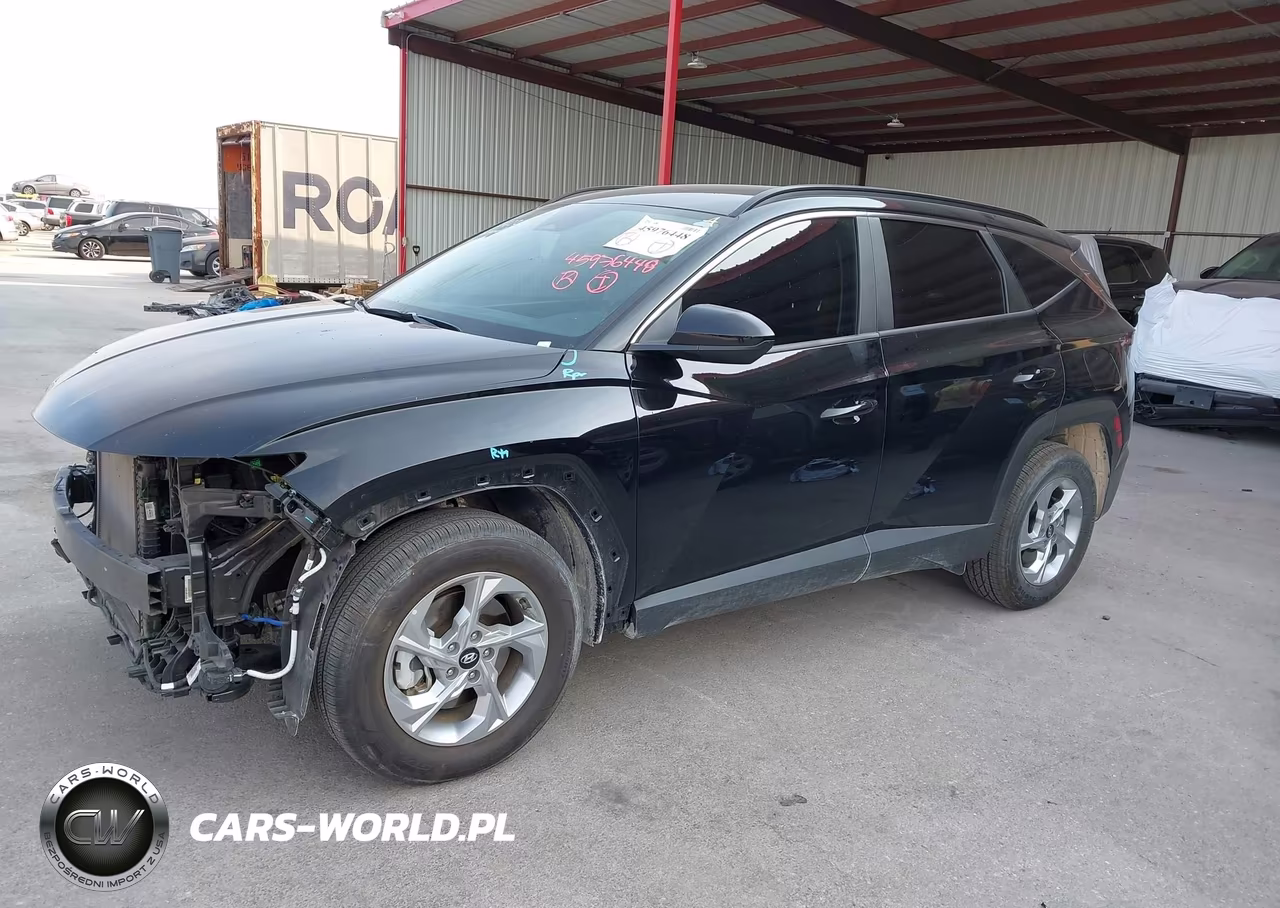 2024 Hyundai Tucson Sel VIN:5NMJB3DE1RH374023 - 2