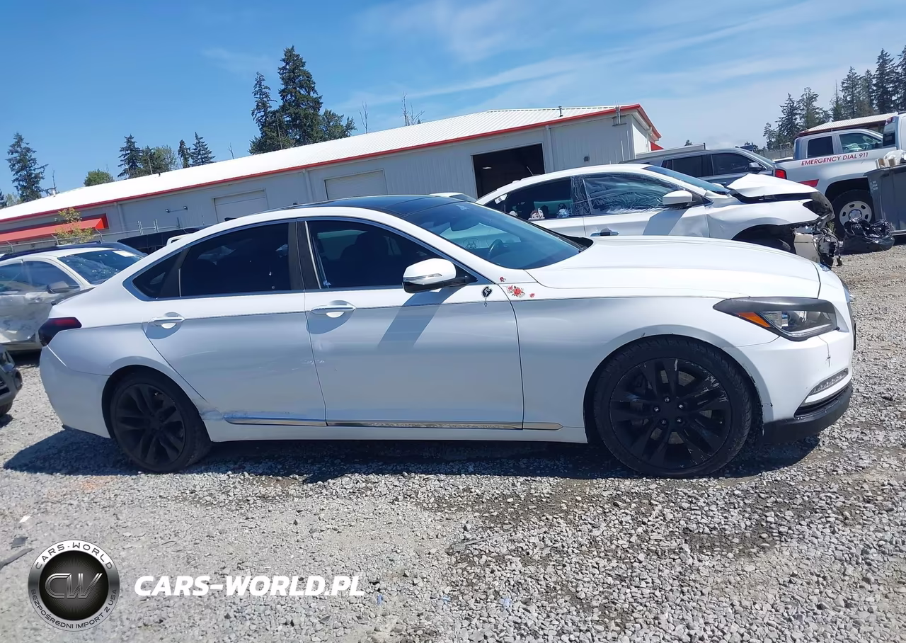 2017 Genesis G80 5.0 Ultimate VIN:KMHGN4JF4HU183669 - 13