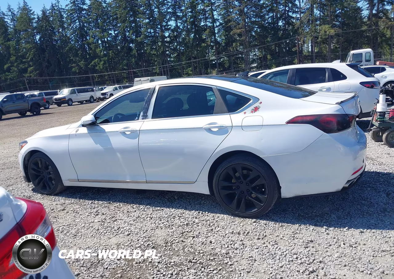 2017 Genesis G80 5.0 Ultimate VIN:KMHGN4JF4HU183669 - 14