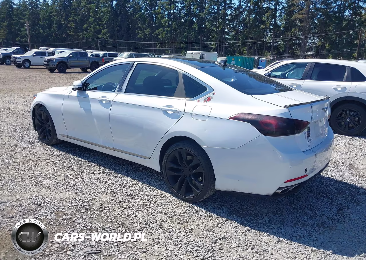 2017 Genesis G80 5.0 Ultimate VIN:KMHGN4JF4HU183669 - 3