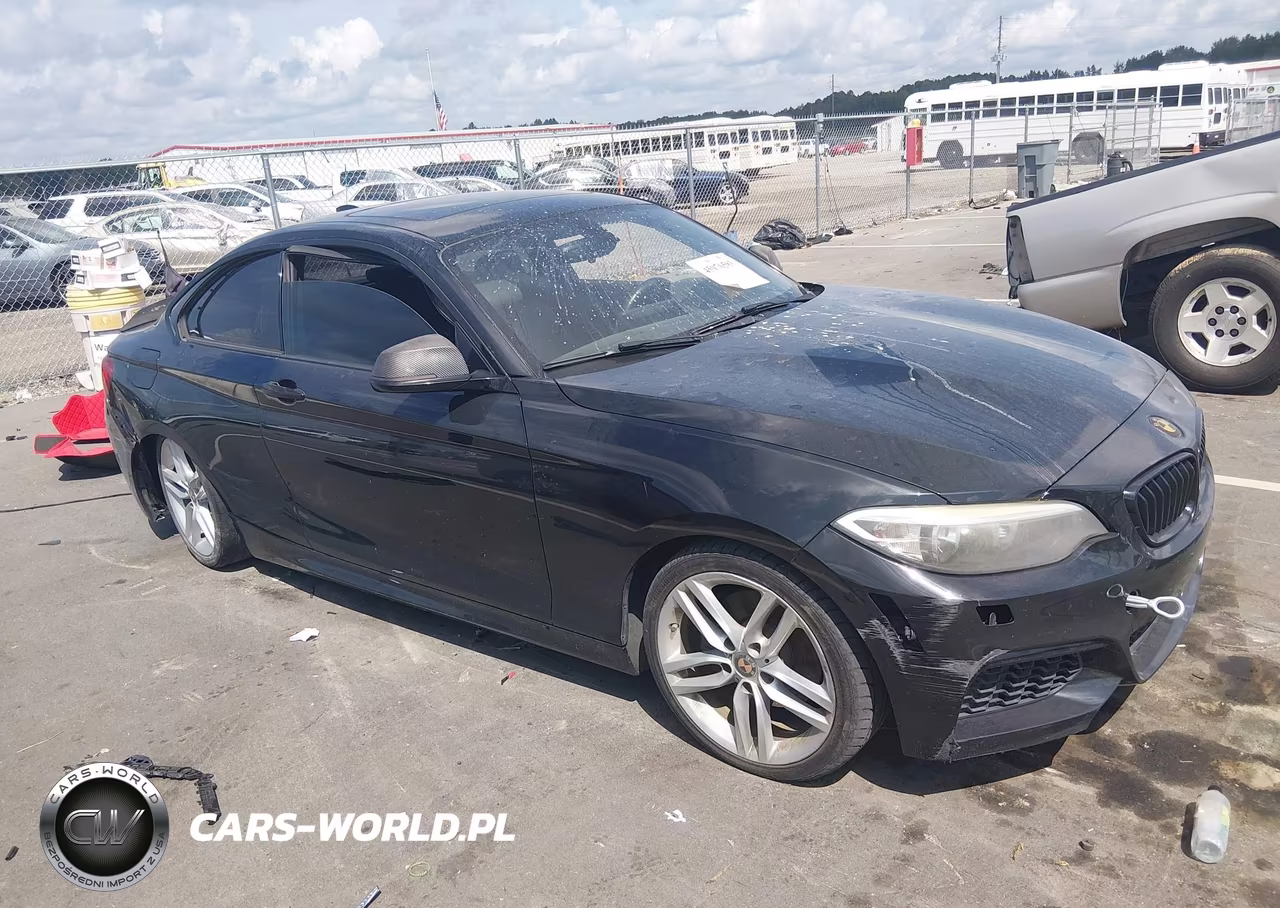 2015 BMW 228I xDrive VIN:WBA1F7C54FVX95940 - 1