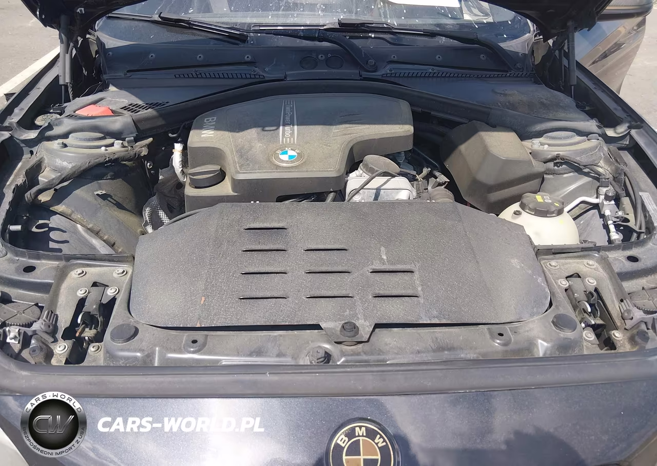 2015 BMW 228I xDrive VIN:WBA1F7C54FVX95940 - 10