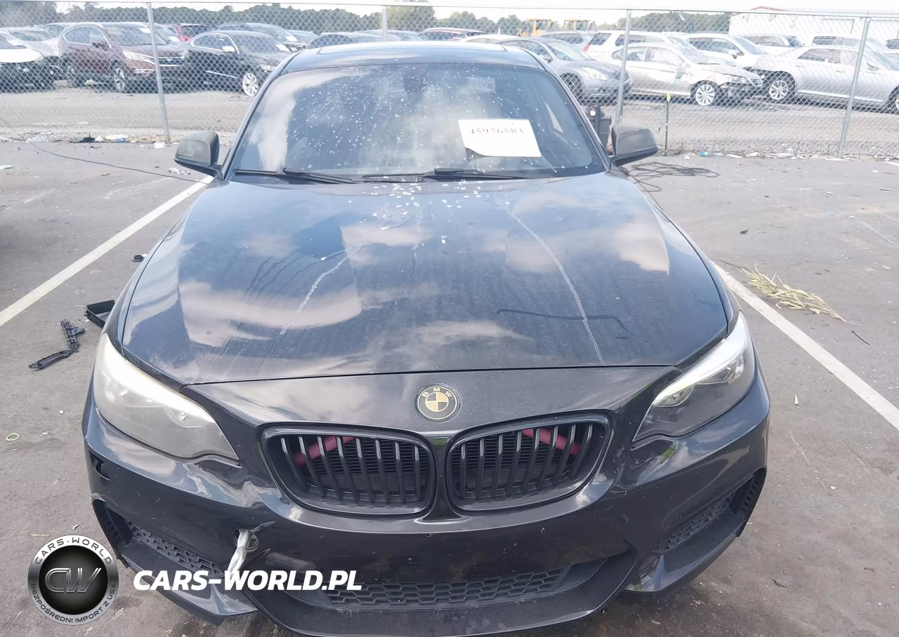 2015 BMW 228I xDrive VIN:WBA1F7C54FVX95940 - 12
