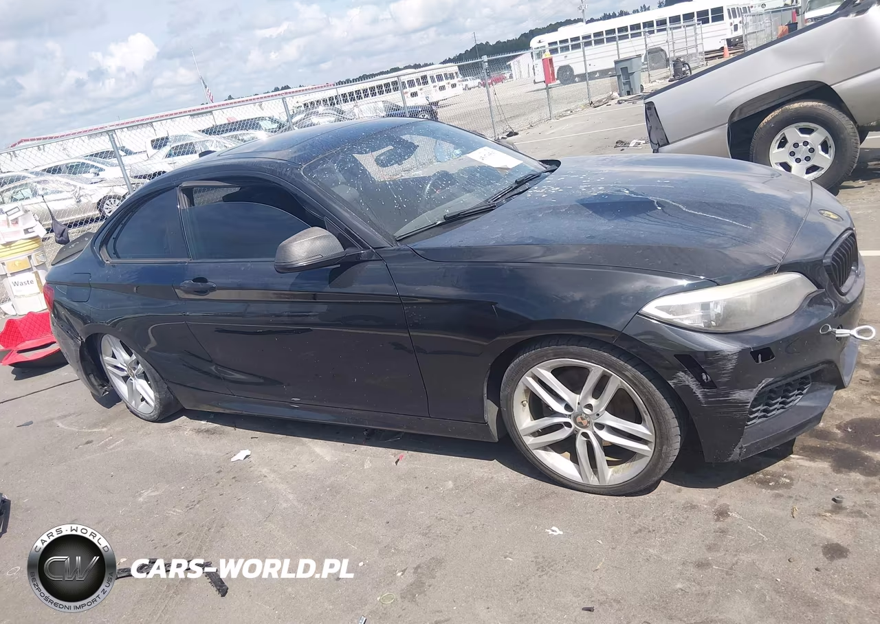 2015 BMW 228I xDrive VIN:WBA1F7C54FVX95940 - 13