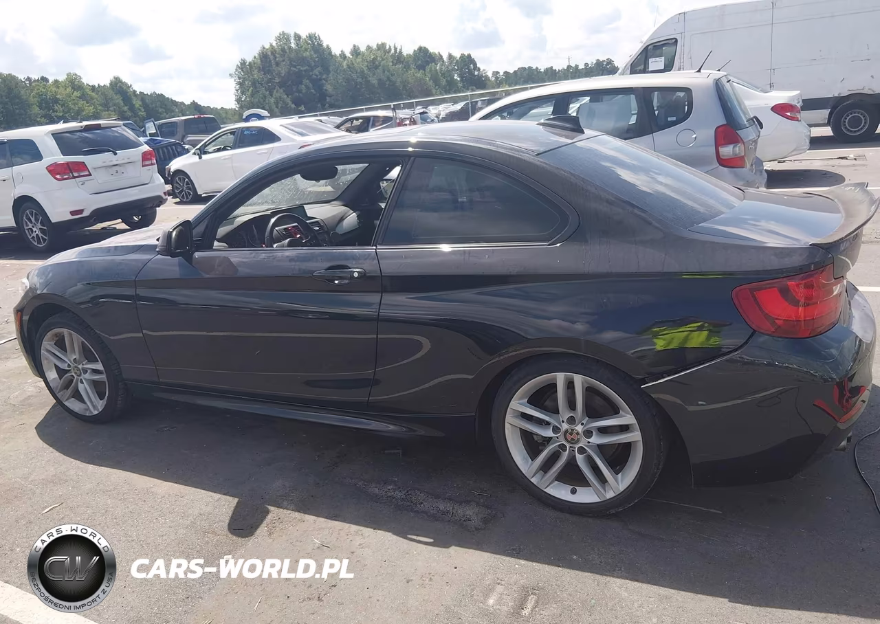 2015 BMW 228I xDrive VIN:WBA1F7C54FVX95940 - 14
