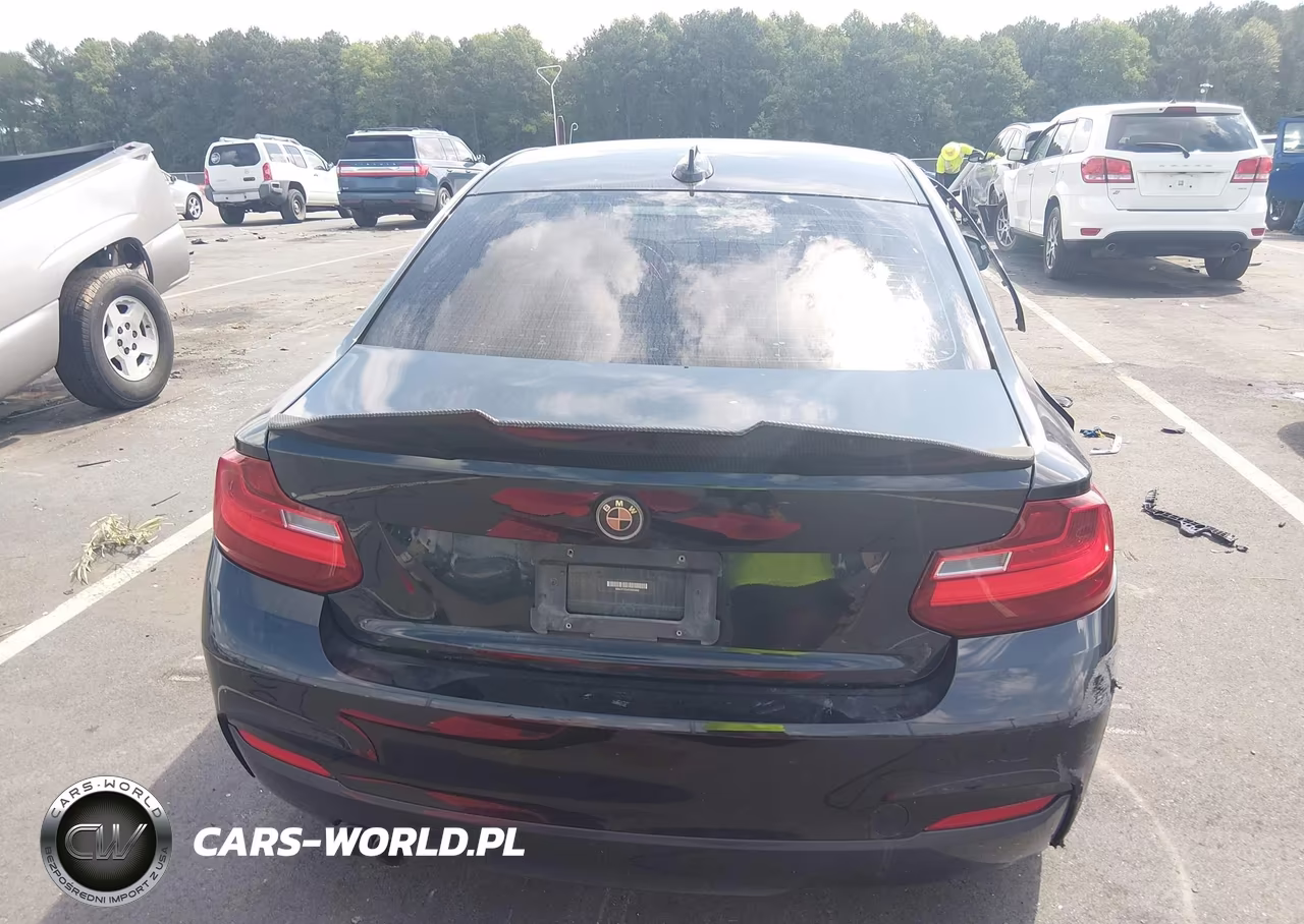 2015 BMW 228I xDrive VIN:WBA1F7C54FVX95940 - 16