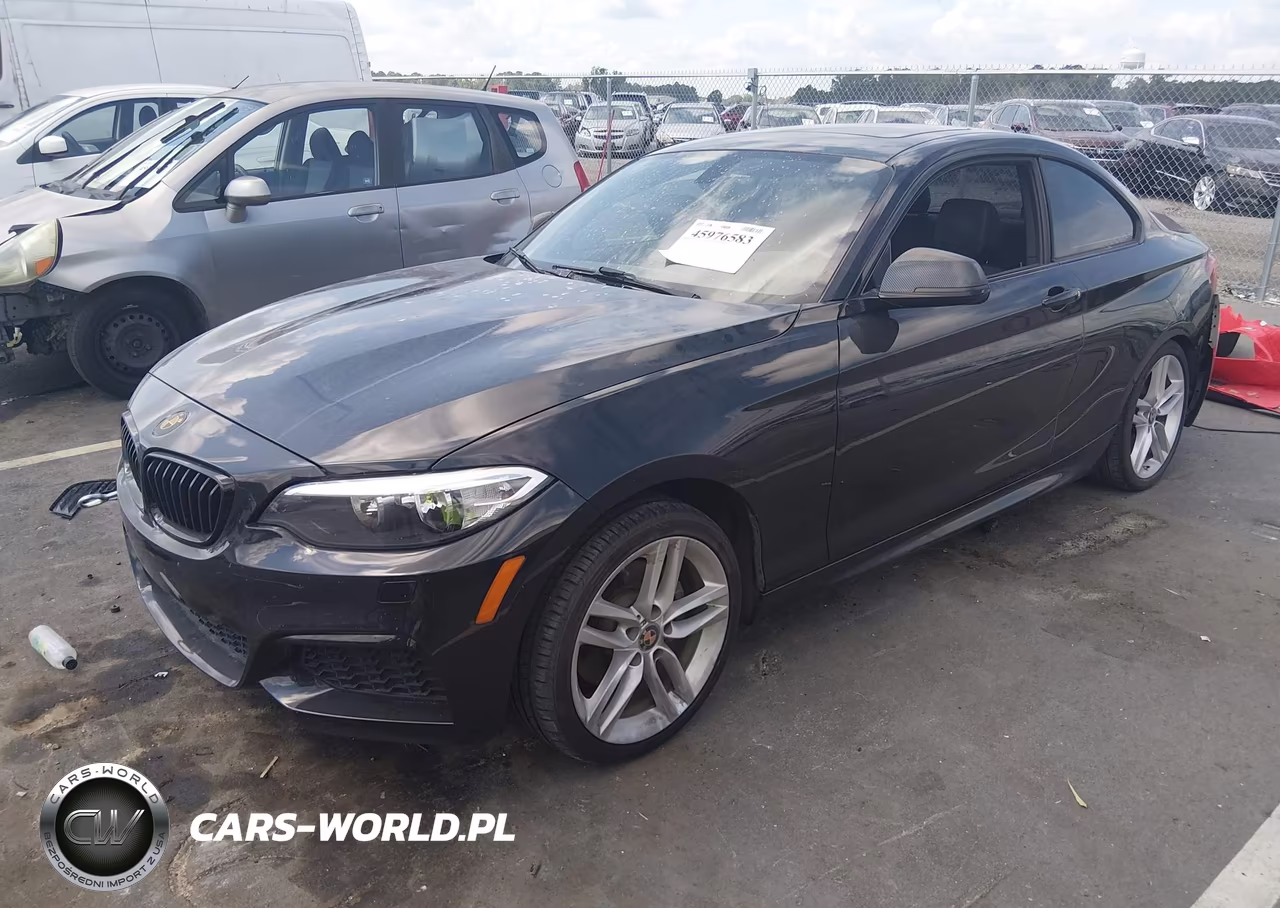 2015 BMW 228I xDrive VIN:WBA1F7C54FVX95940 - 2