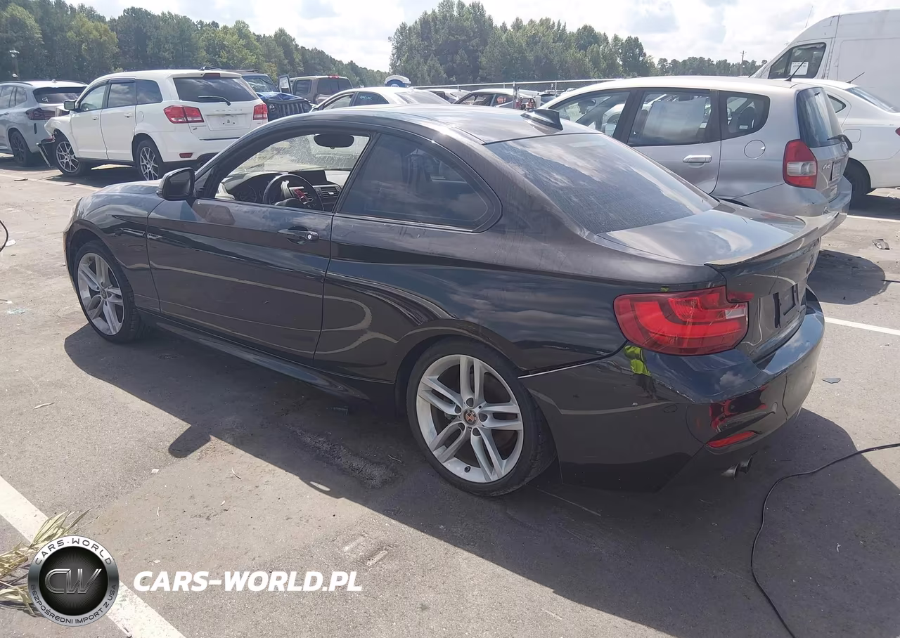 2015 BMW 228I xDrive VIN:WBA1F7C54FVX95940 - 3