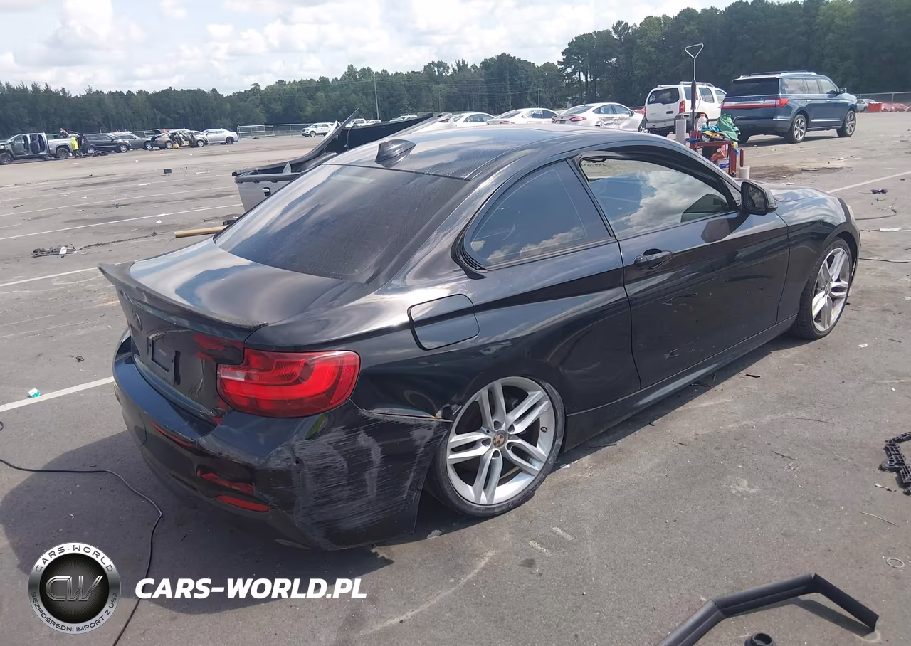 2015 BMW 228I xDrive VIN:WBA1F7C54FVX95940 - 4