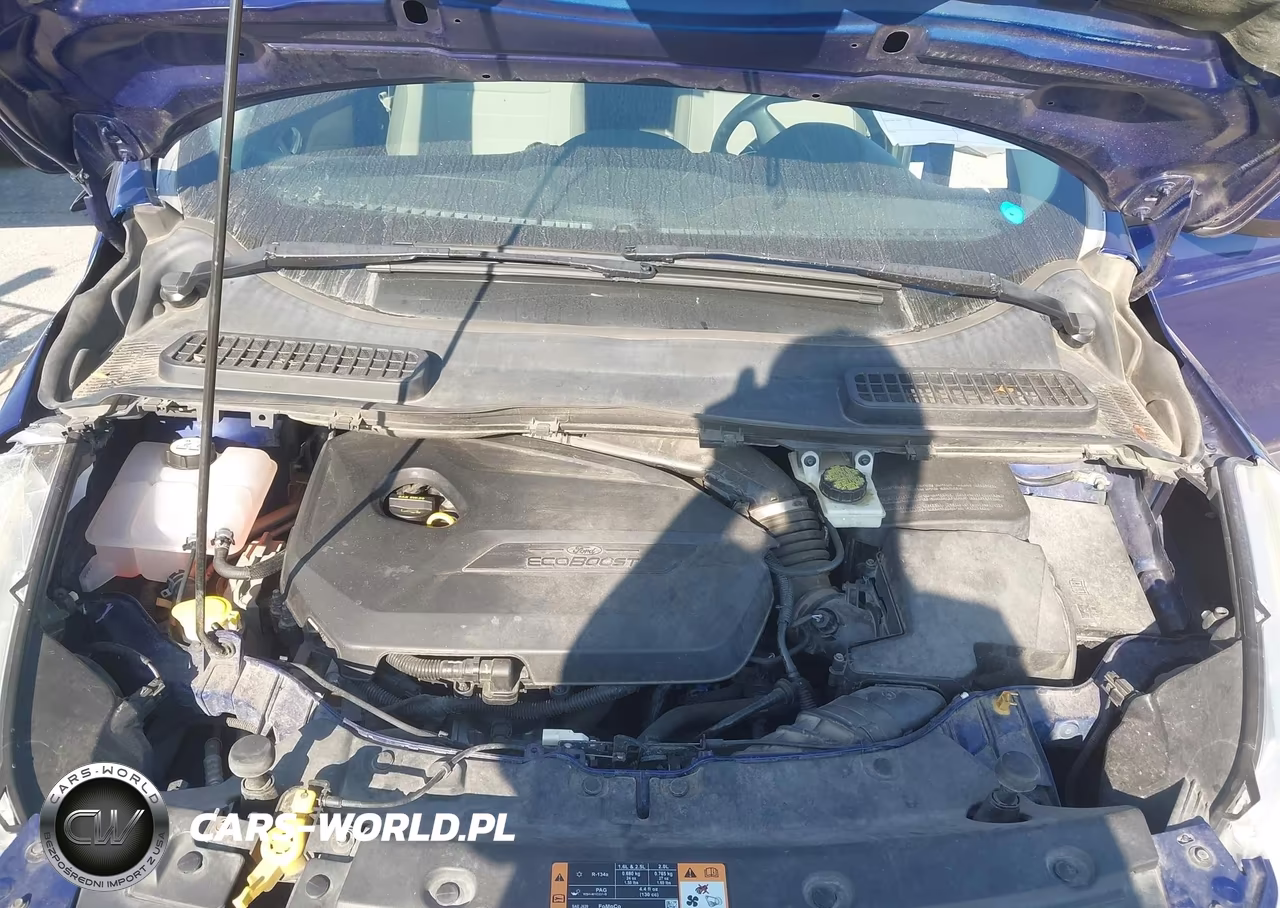 2014 Ford Escape Se VIN:1FMCU0GX6EUE52146 - 10