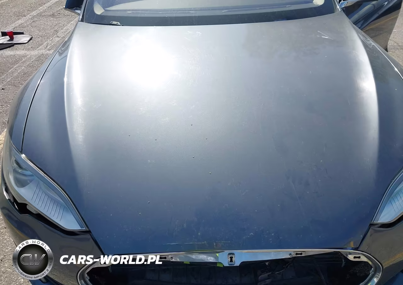 2013 Tesla Model S VIN:5YJSA1CGXDFP19865 - 10