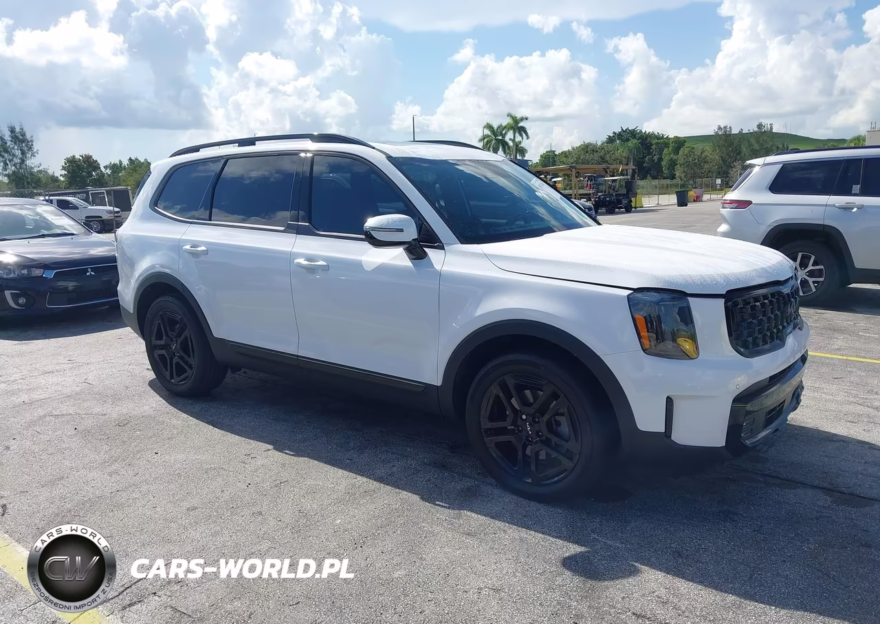 2024 Kia Telluride Sx X-Line VIN:5XYP5DGC5RG463170 - 1