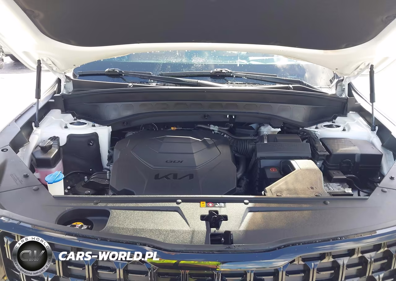 2024 Kia Telluride Sx X-Line VIN:5XYP5DGC5RG463170 - 10