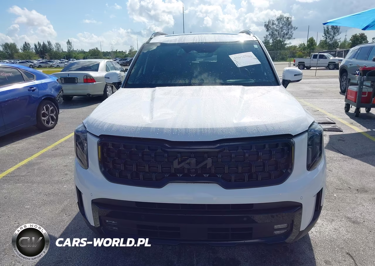 2024 Kia Telluride Sx X-Line VIN:5XYP5DGC5RG463170 - 12