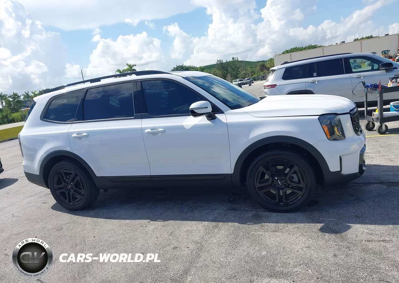 2024 Kia Telluride Sx X-Line VIN:5XYP5DGC5RG463170 - 13