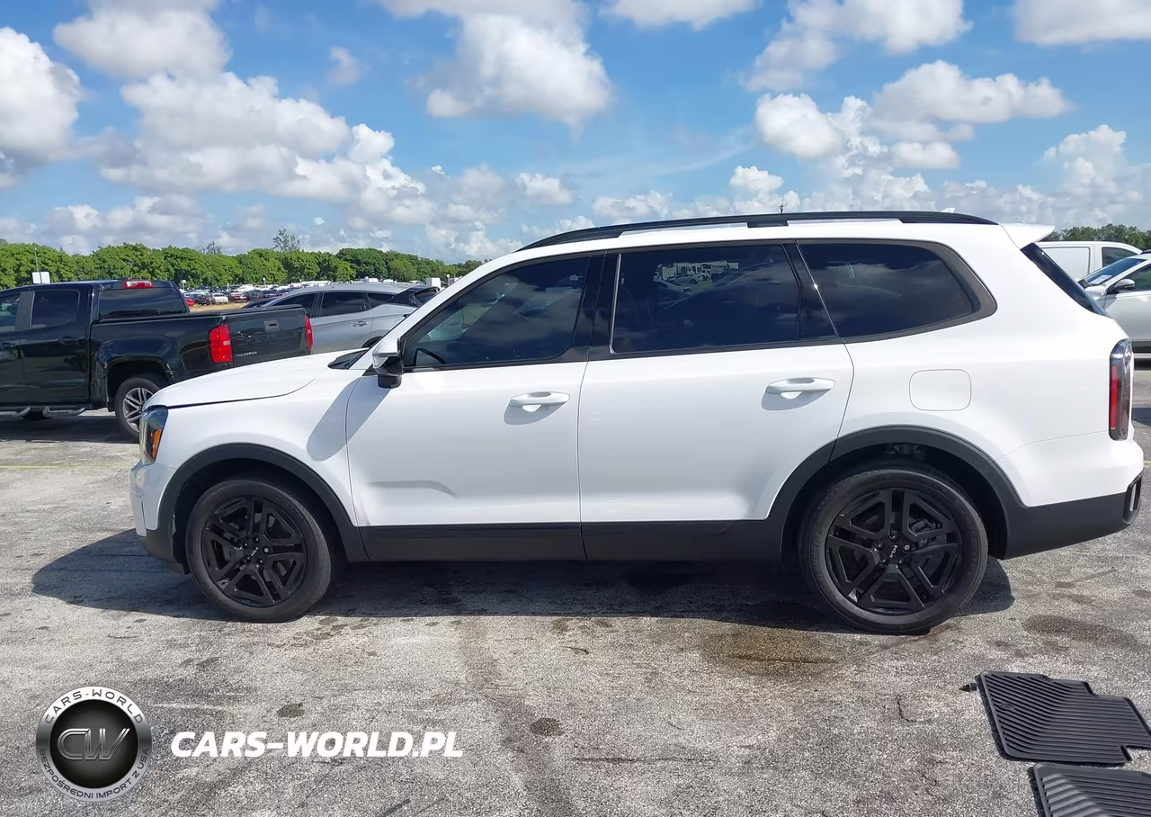2024 Kia Telluride Sx X-Line VIN:5XYP5DGC5RG463170 - 14