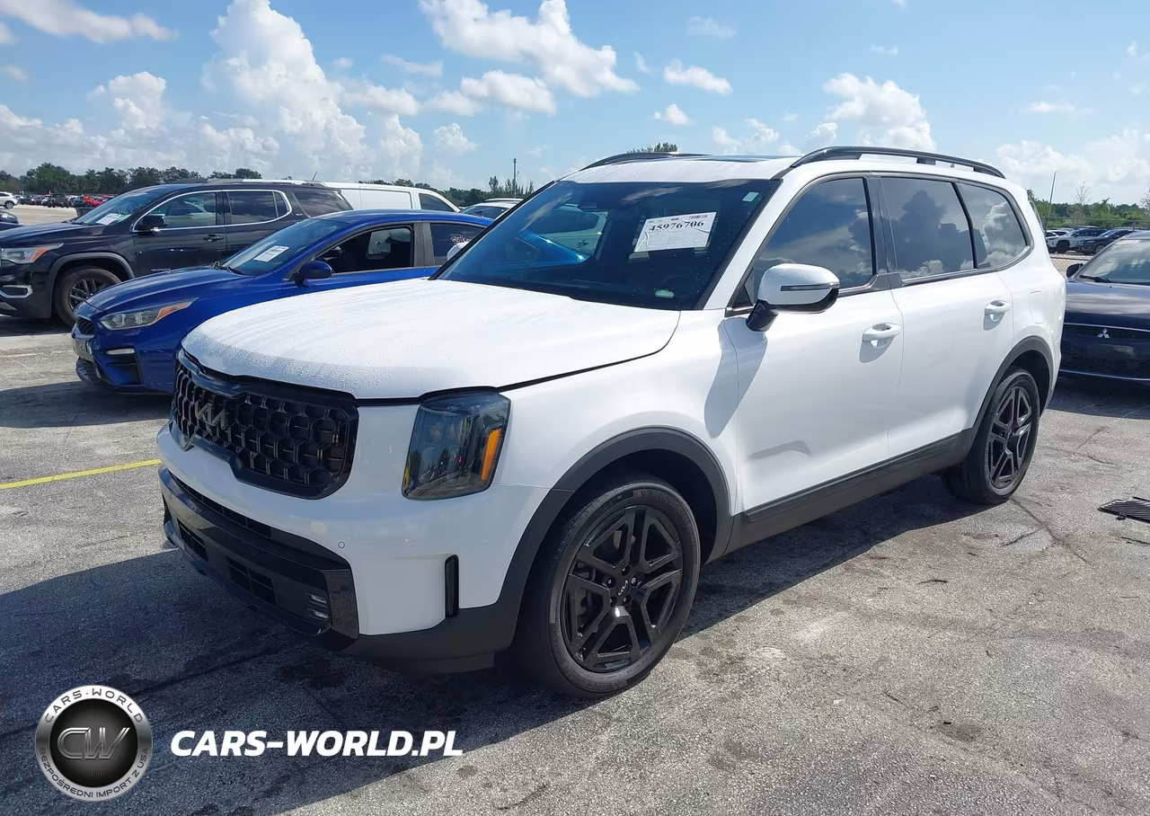 2024 Kia Telluride Sx X-Line VIN:5XYP5DGC5RG463170 - 2