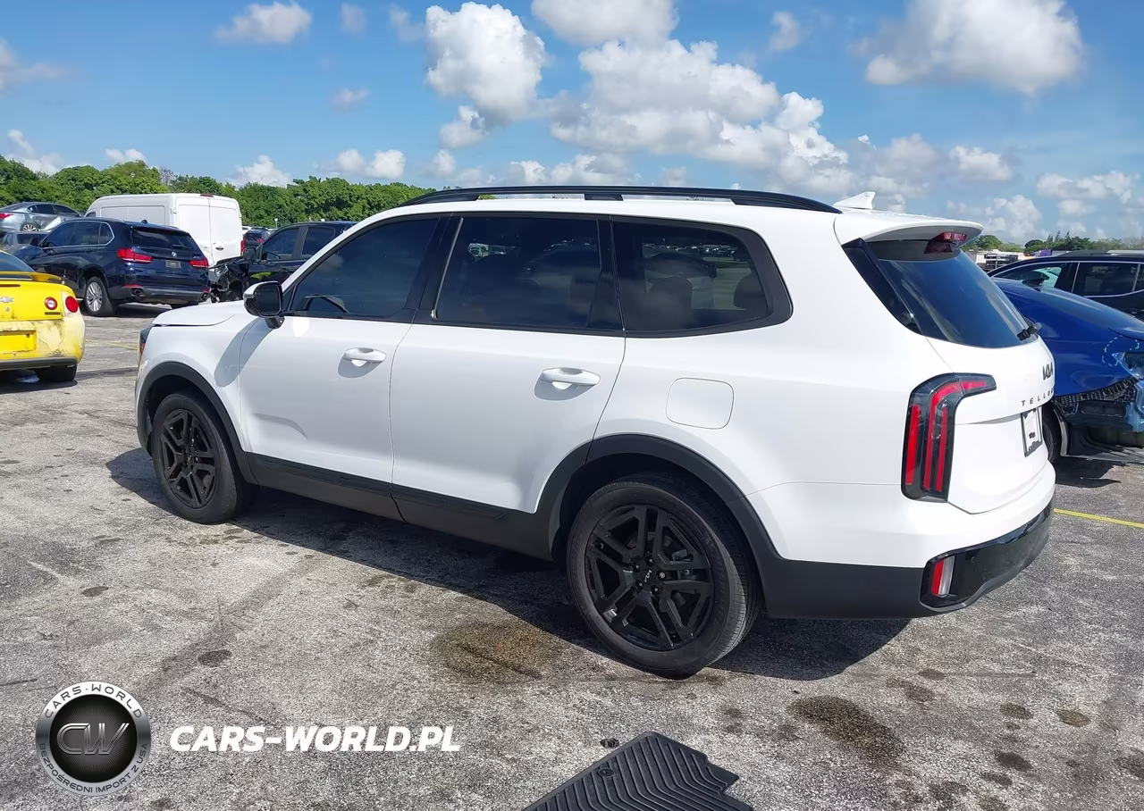 2024 Kia Telluride Sx X-Line VIN:5XYP5DGC5RG463170 - 3