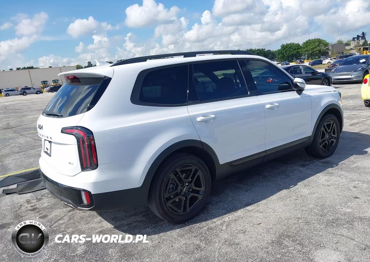2024 Kia Telluride Sx X-Line VIN:5XYP5DGC5RG463170 - 4