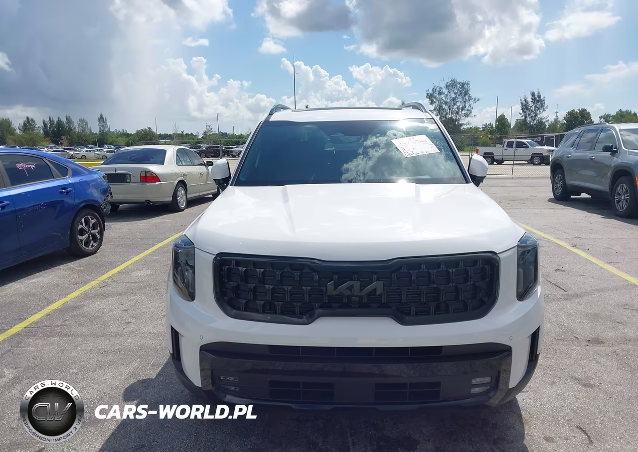 2024 Kia Telluride Sx X-Line VIN:5XYP5DGC5RG463170 - 6