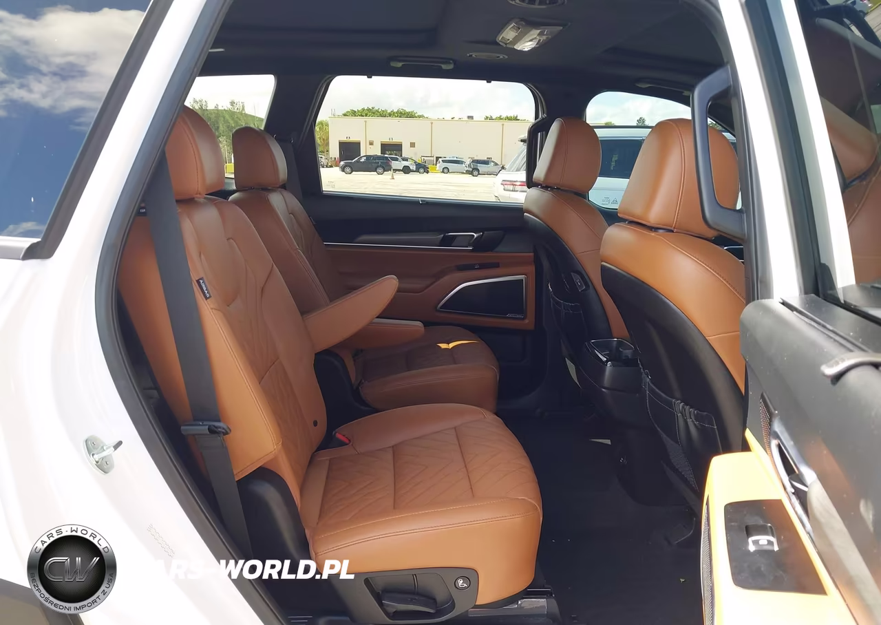 2024 Kia Telluride Sx X-Line VIN:5XYP5DGC5RG463170 - 8