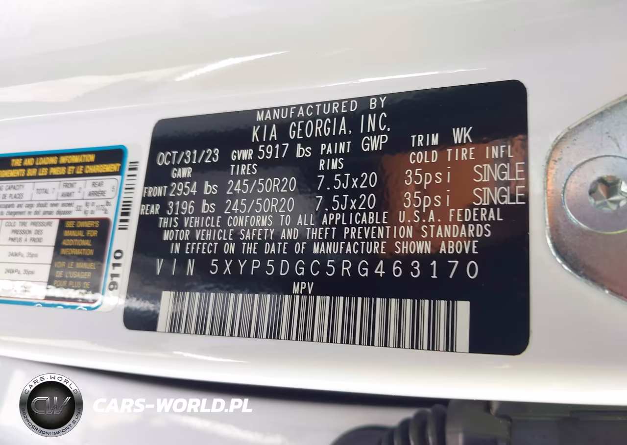 2024 Kia Telluride Sx X-Line VIN:5XYP5DGC5RG463170 - 9
