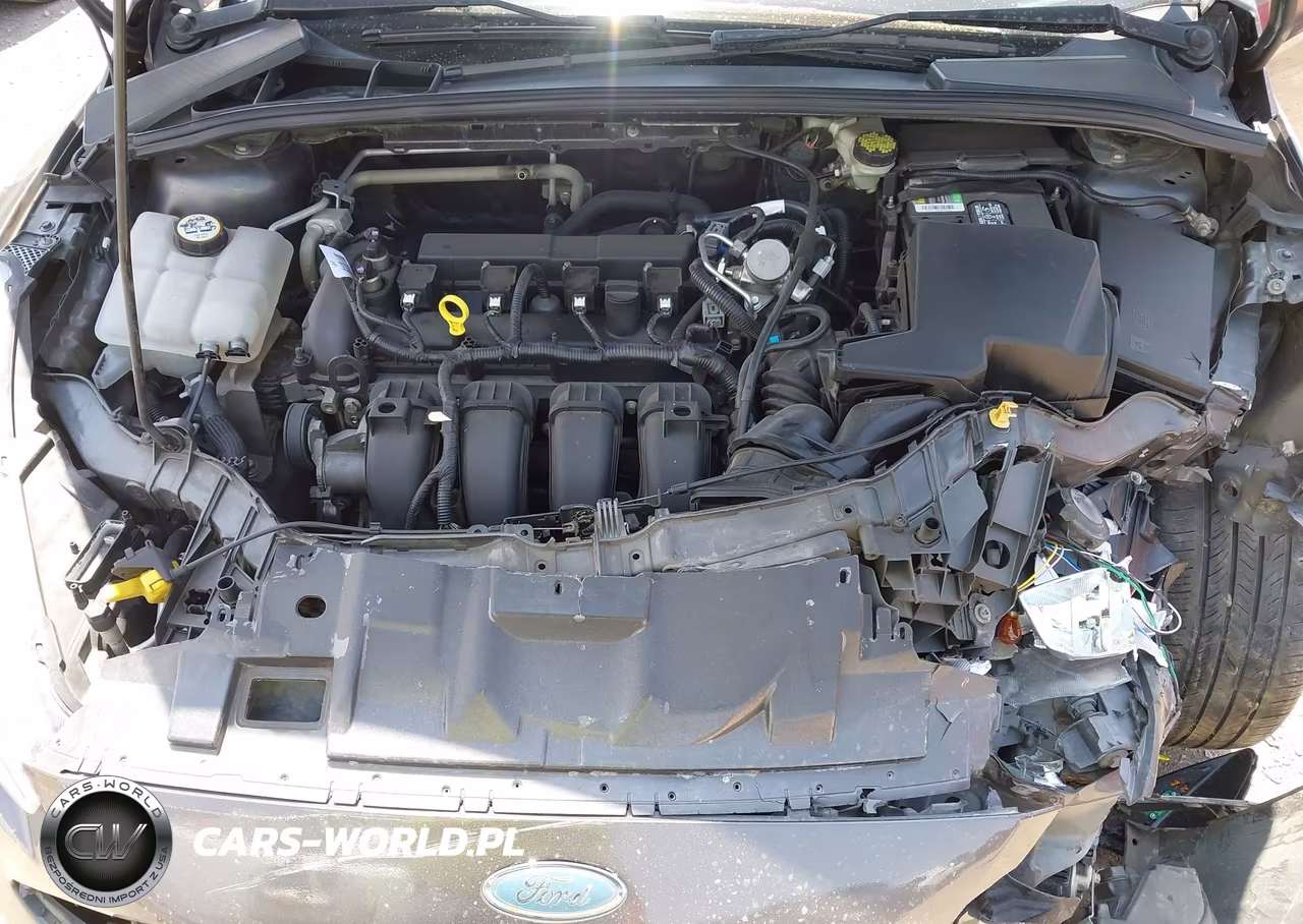 2015 Ford Focus Se VIN:1FADP3F21FL313482 - 10