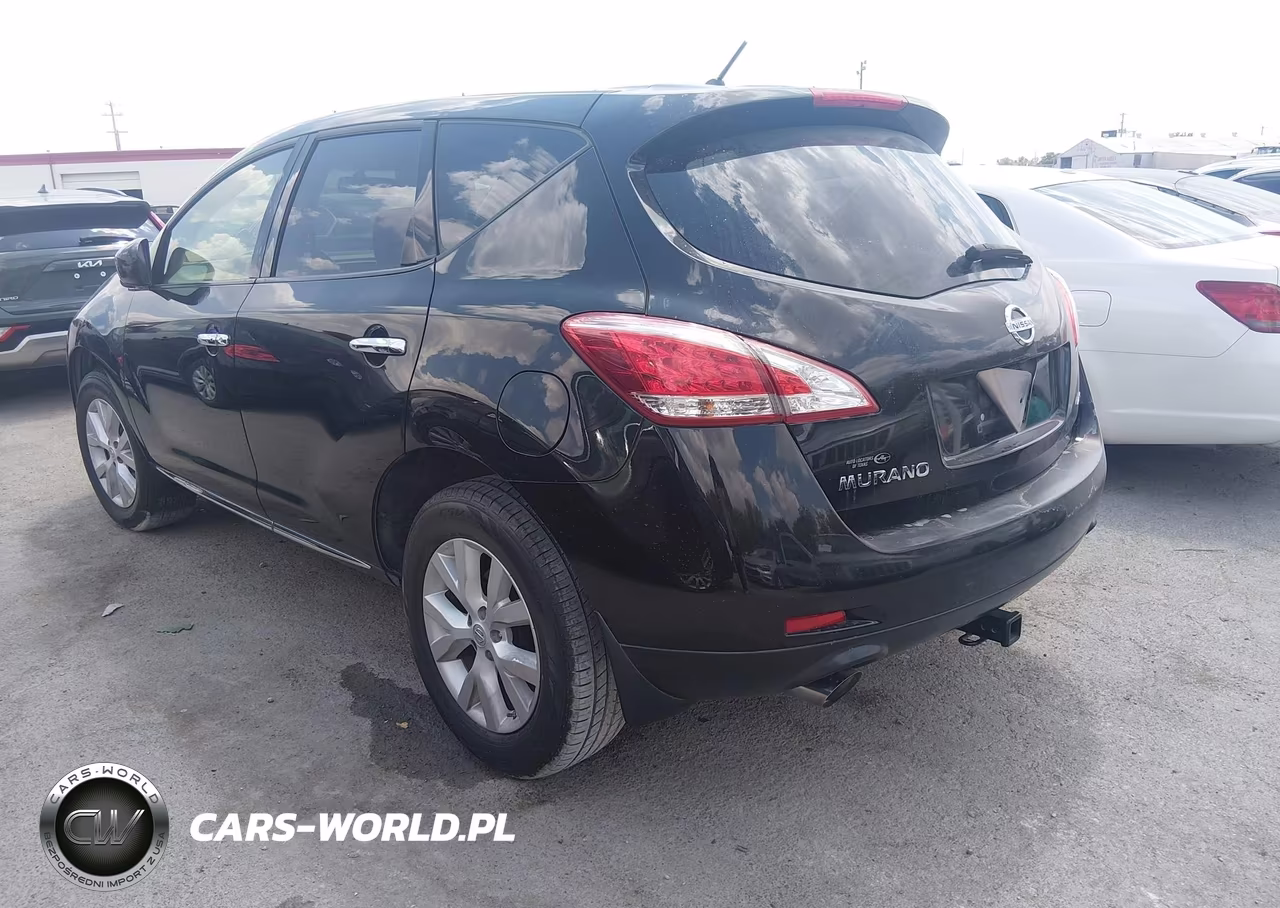 2013 Nissan Murano S VIN:JN8AZ1MW9DW315725 - 3