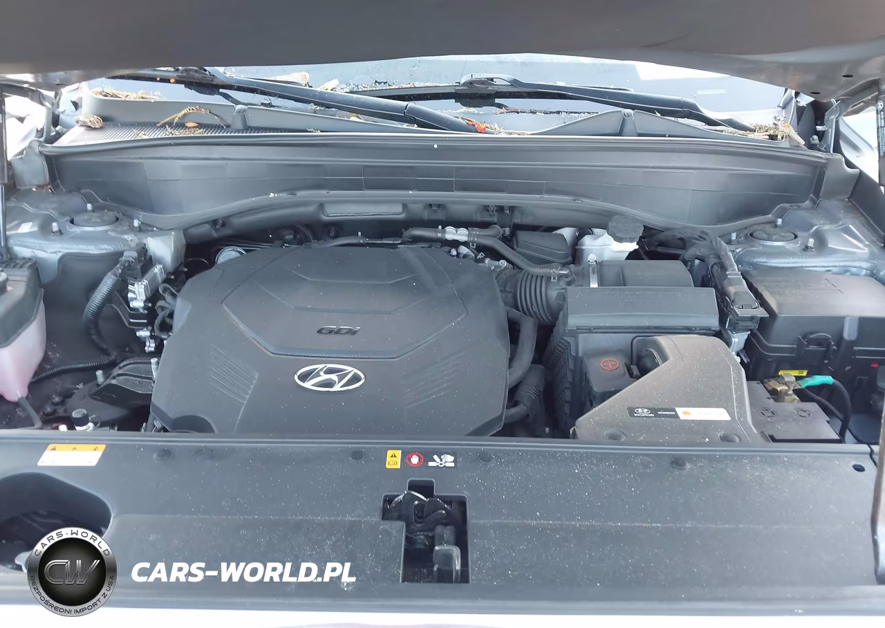 2023 Hyundai Palisade Calligraphy VIN:KM8R74GE9PU514875 - 10
