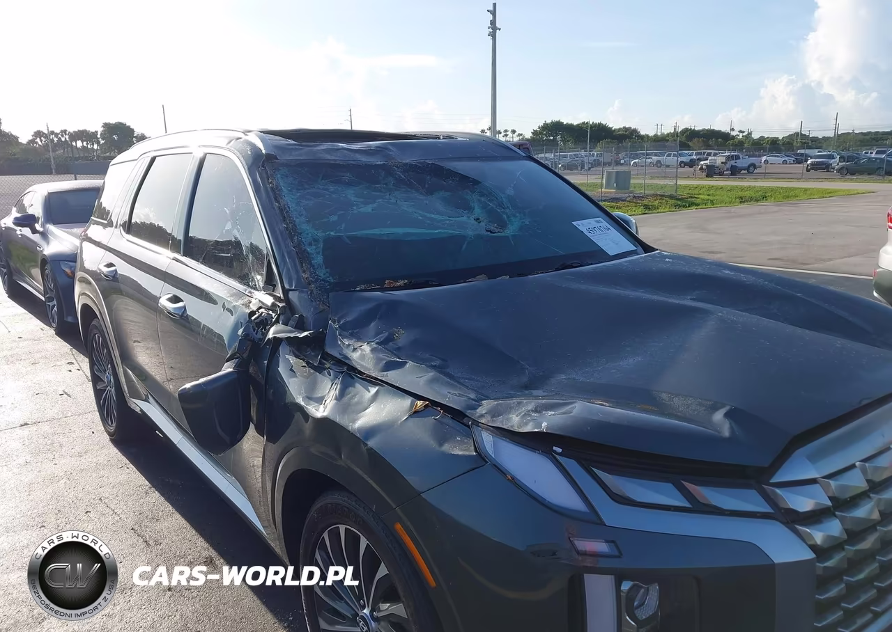 2023 Hyundai Palisade Calligraphy VIN:KM8R74GE9PU514875 - 6