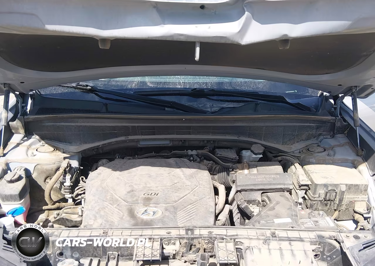 2022 Hyundai Palisade Calligraphy VIN:KM8R74HEXNU342691 - 10