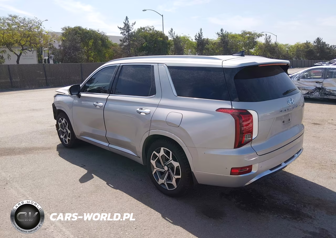 2022 Hyundai Palisade Calligraphy VIN:KM8R74HEXNU342691 - 3