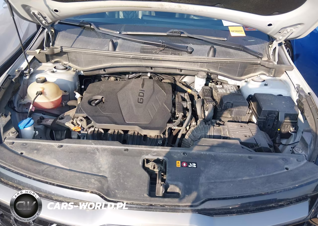 2023 Kia Sportage X-Pro VIN:5XYK7CAF4PG062675 - 10