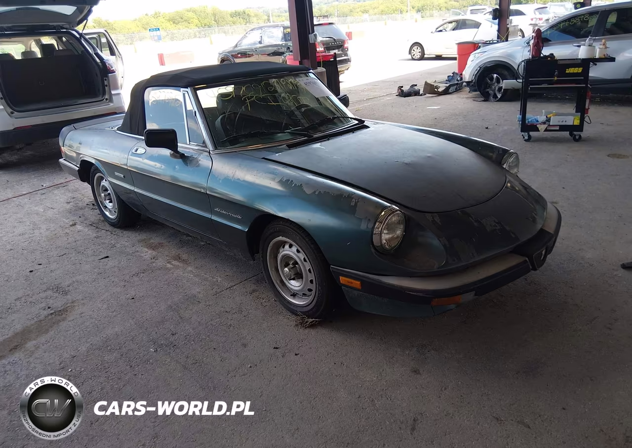 1986 Alfa Romeo Veloce 2000 Spider