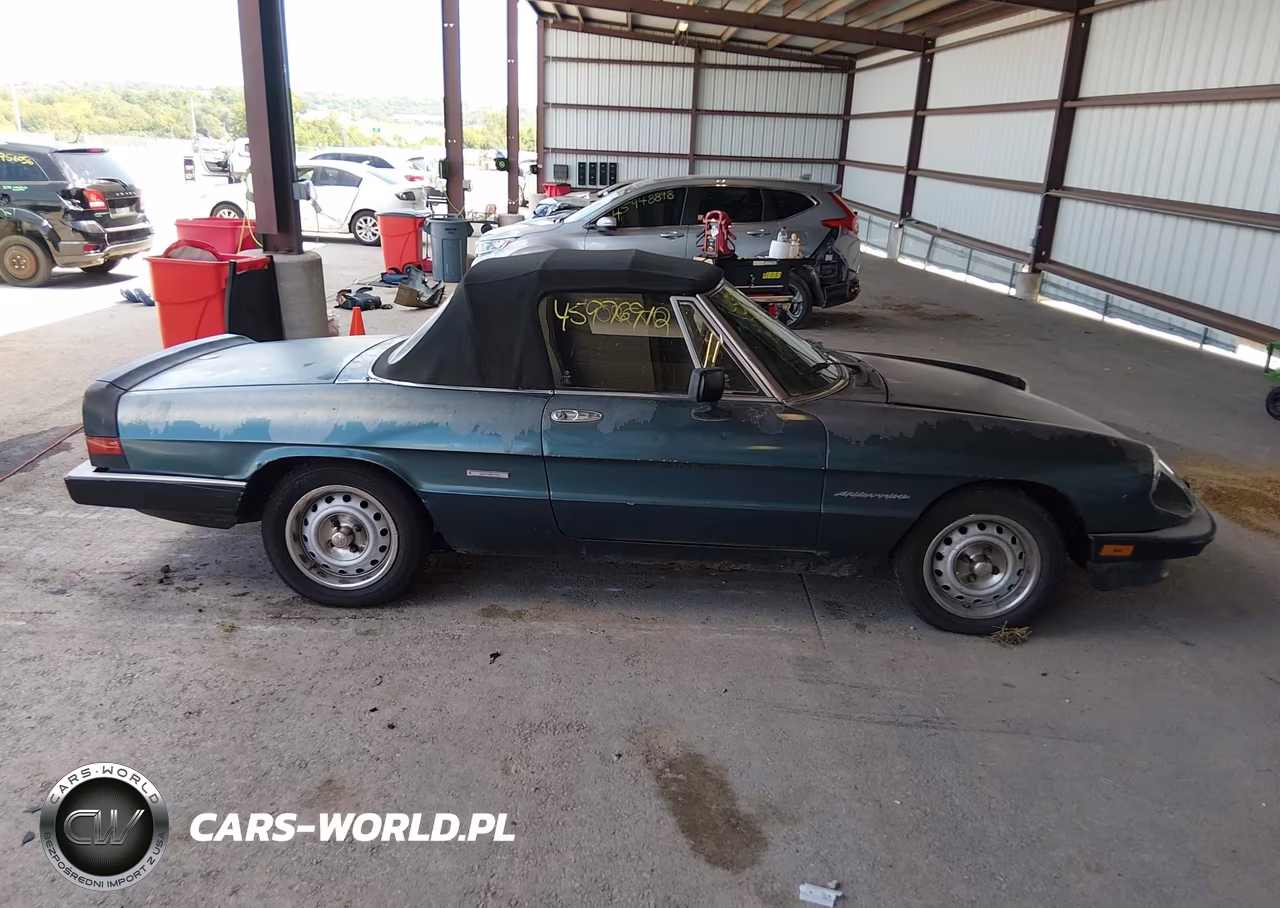 1986 Alfa Romeo Veloce 2000 Spider VIN:ZARBA5419G1036902 - 13