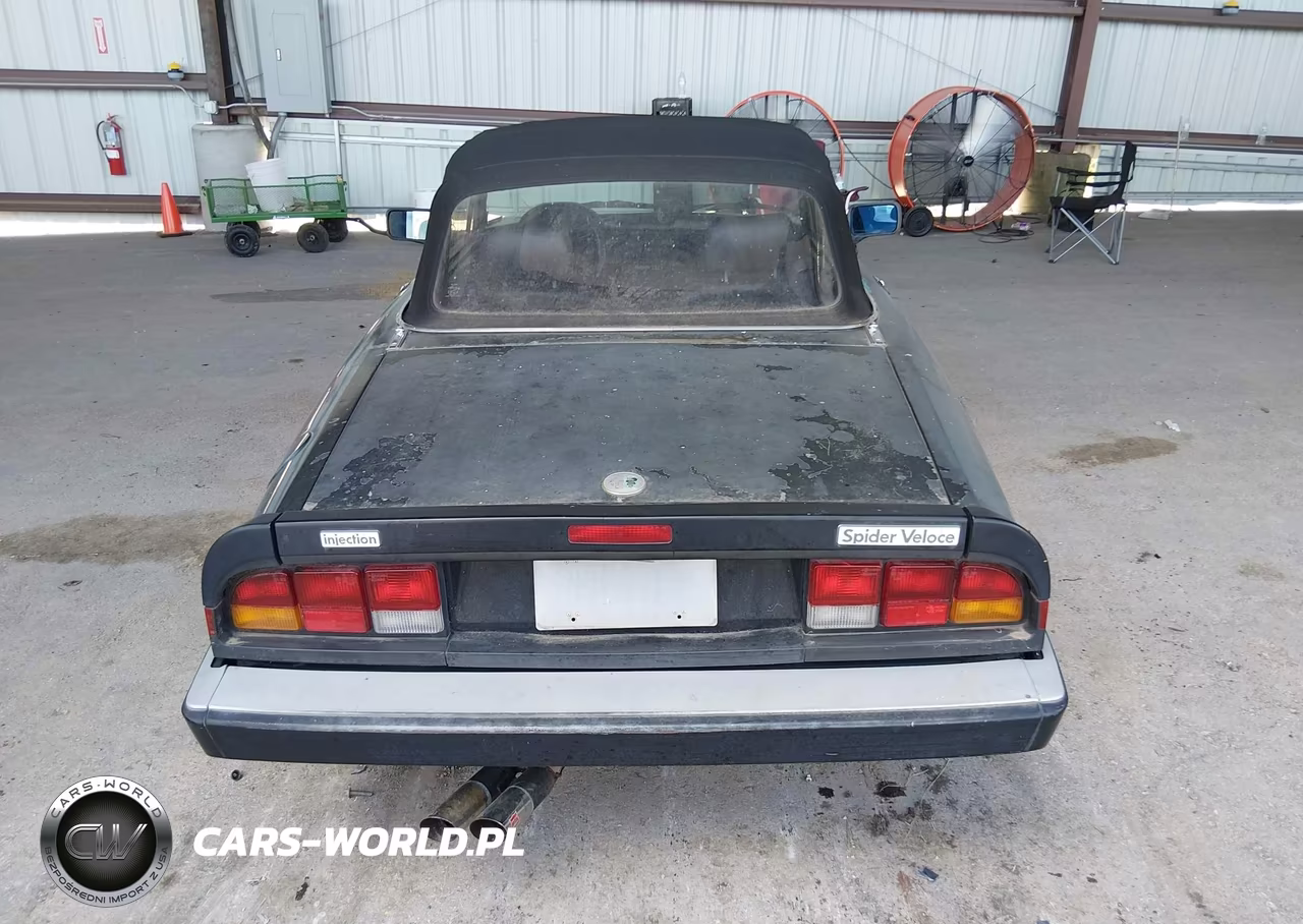 1986 Alfa Romeo Veloce 2000 Spider VIN:ZARBA5419G1036902 - 16
