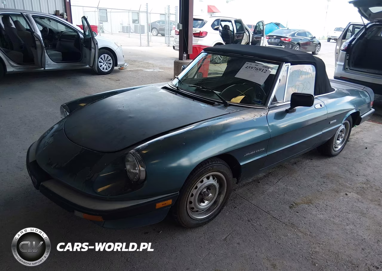 1986 Alfa Romeo Veloce 2000 Spider VIN:ZARBA5419G1036902 - 2