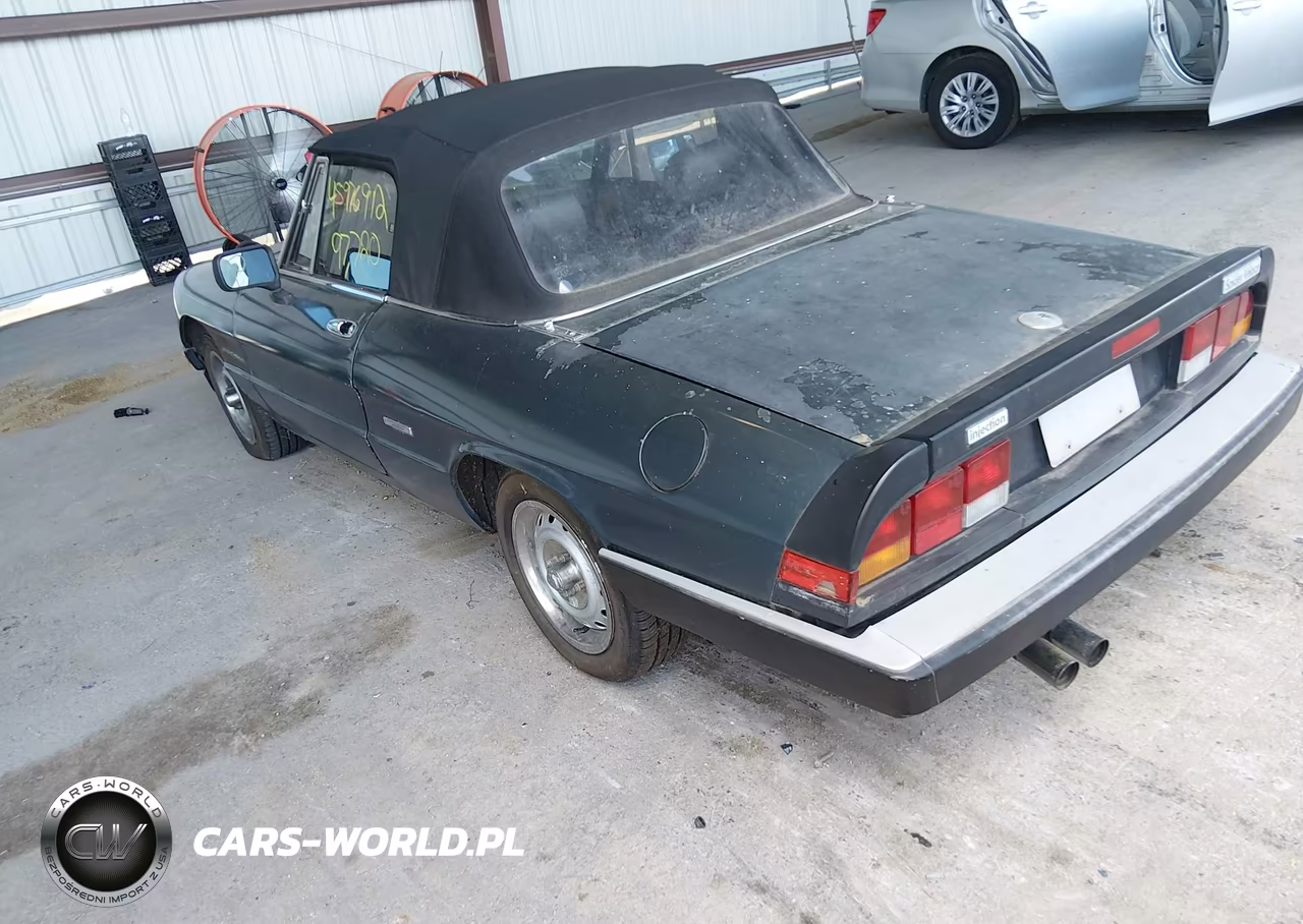 1986 Alfa Romeo Veloce 2000 Spider VIN:ZARBA5419G1036902 - 3
