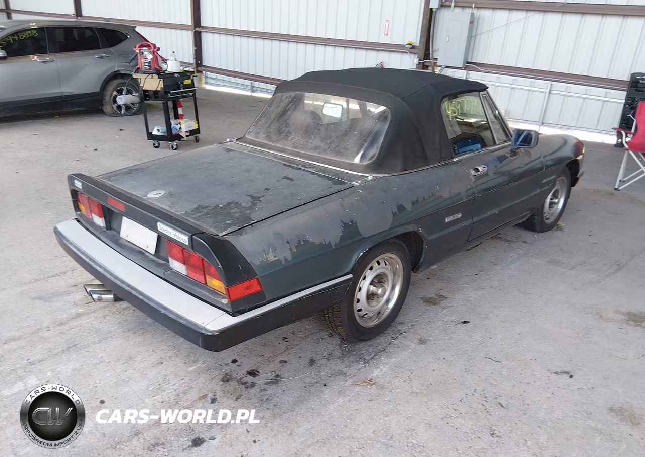 1986 Alfa Romeo Veloce 2000 Spider VIN:ZARBA5419G1036902 - 4